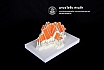 ชั้นปีที่ 2 | ปีการศึกษา 2560
