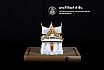 ชั้นปีที่ 2 | ปีการศึกษา 2560