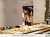 งานนิทรรศการแสดงผลงานวิทยานิพนธ์: Teesud Arch SU Thesis 2024