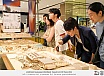 งานนิทรรศการแสดงผลงานวิทยานิพนธ์: Teesud Arch SU Thesis 2024