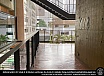 นักศึกษาต่างชาติจาก DC School of Architecture and Design เมือง Kerala ประเทศอินเดีย    ศึกษาดูงานสถาปัตยกรรมยุคโมเดิร์นในกรุงเทพมหานคร