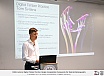 Public Lecture: Digital Timber Practice: Design Computation Frameworks for Material Heterogeneity