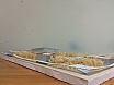 ชั้นปีที่ 4 | ปีการศึกษา 2559 | PD2-Long Span