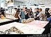 โครงการ Silpakorn Summer School 2023